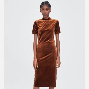 Zara Brown Velvet Turtle Neck Dress